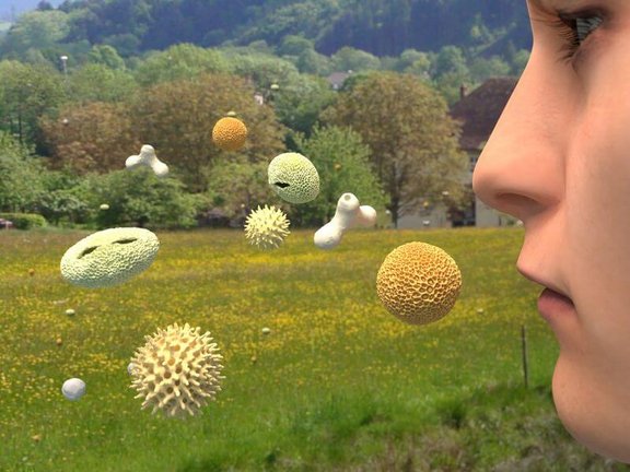 pollen_nase.jpg